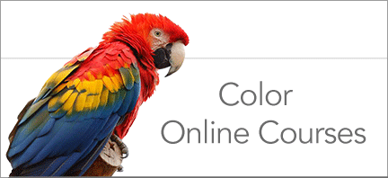color parrot online courses