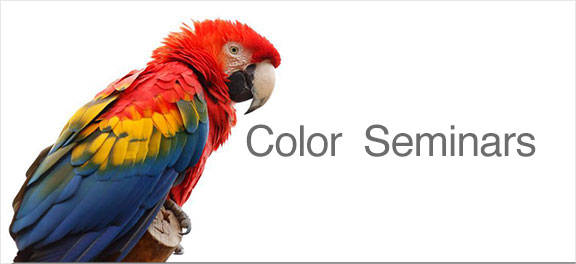 color seminars parrot